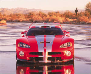 viper_06.jpg