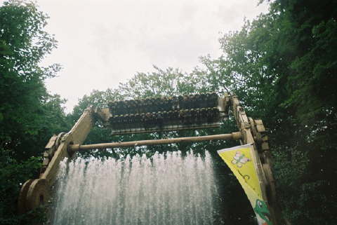 987631_28488284.jpg
